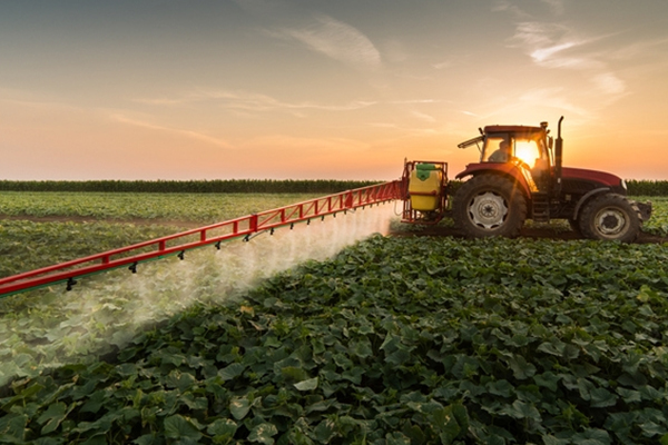 Rotary gear pump spraying asphalt or tar in road-construction application